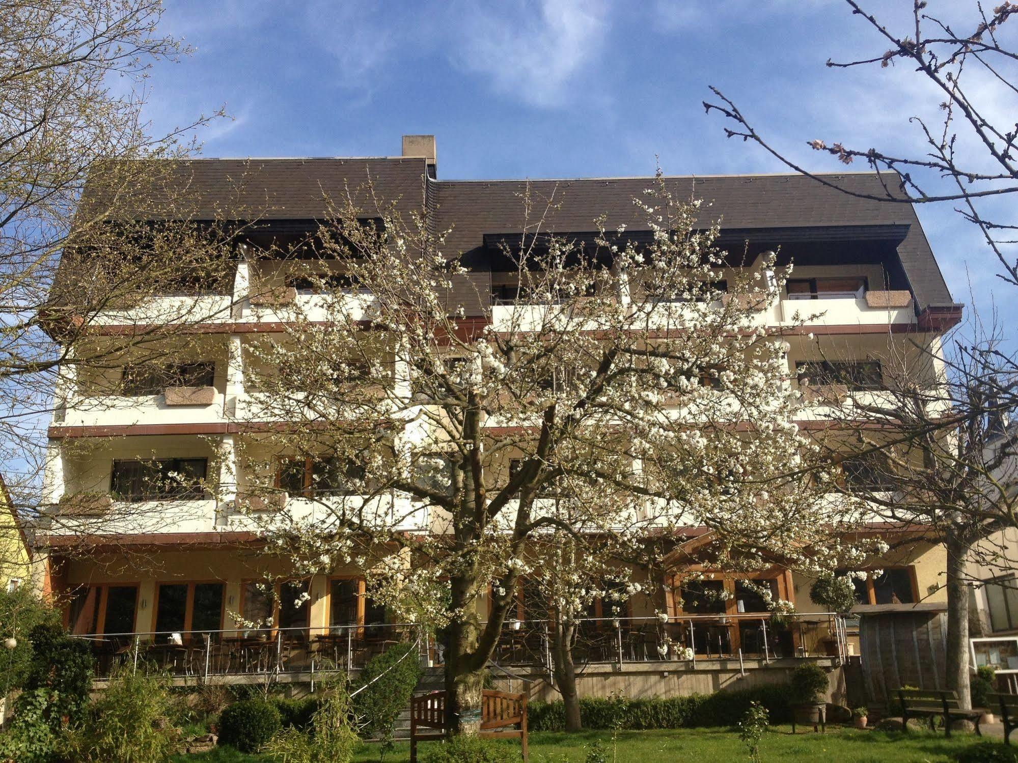 Hotel Weingut Dehren Ellenz-Poltersdorf Eksteriør billede
