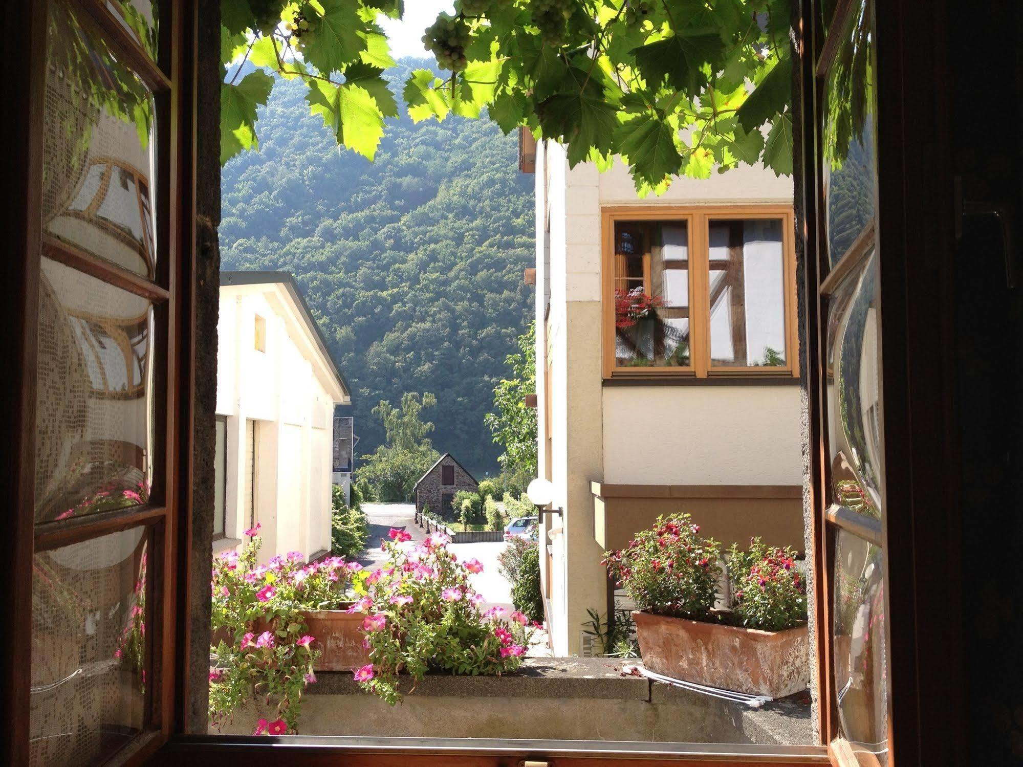 Hotel Weingut Dehren Ellenz-Poltersdorf Eksteriør billede